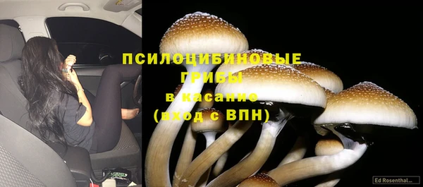 спайс Козловка