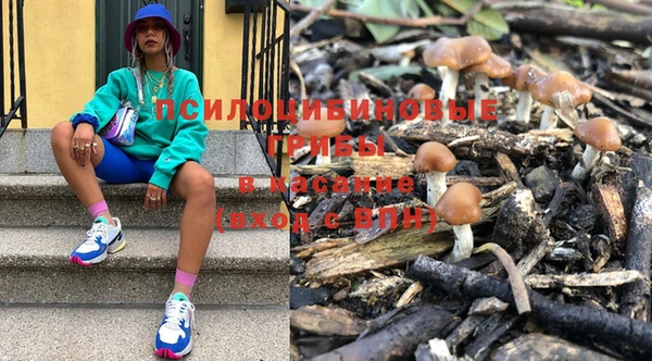 а пвп мука Киреевск