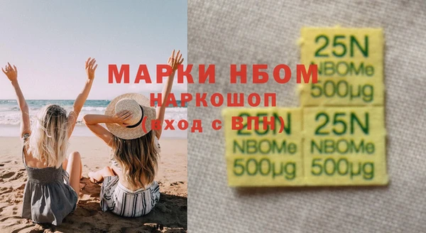 гашик Козельск