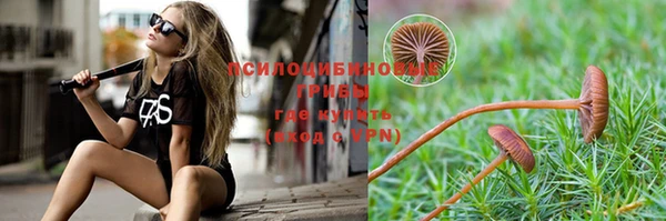 гашик Козельск