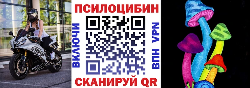 Псилоцибиновые грибы мицелий  Купить закладки  Саянск 