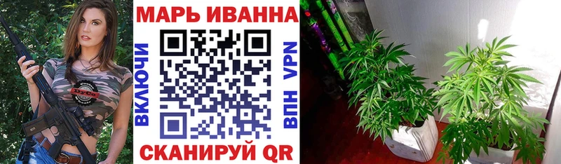 Купить где  Саянск  Конопля план 